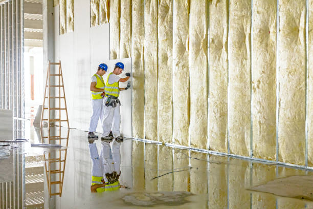 Best Wall Insulation Installation  in Springboro, OH